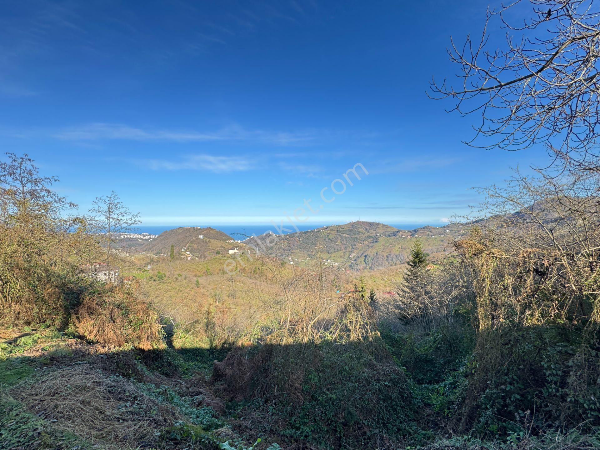 Trabzon Yomra Şanlı Mahallesi 8.136 M2 Satılık Arsa - Görsel 10