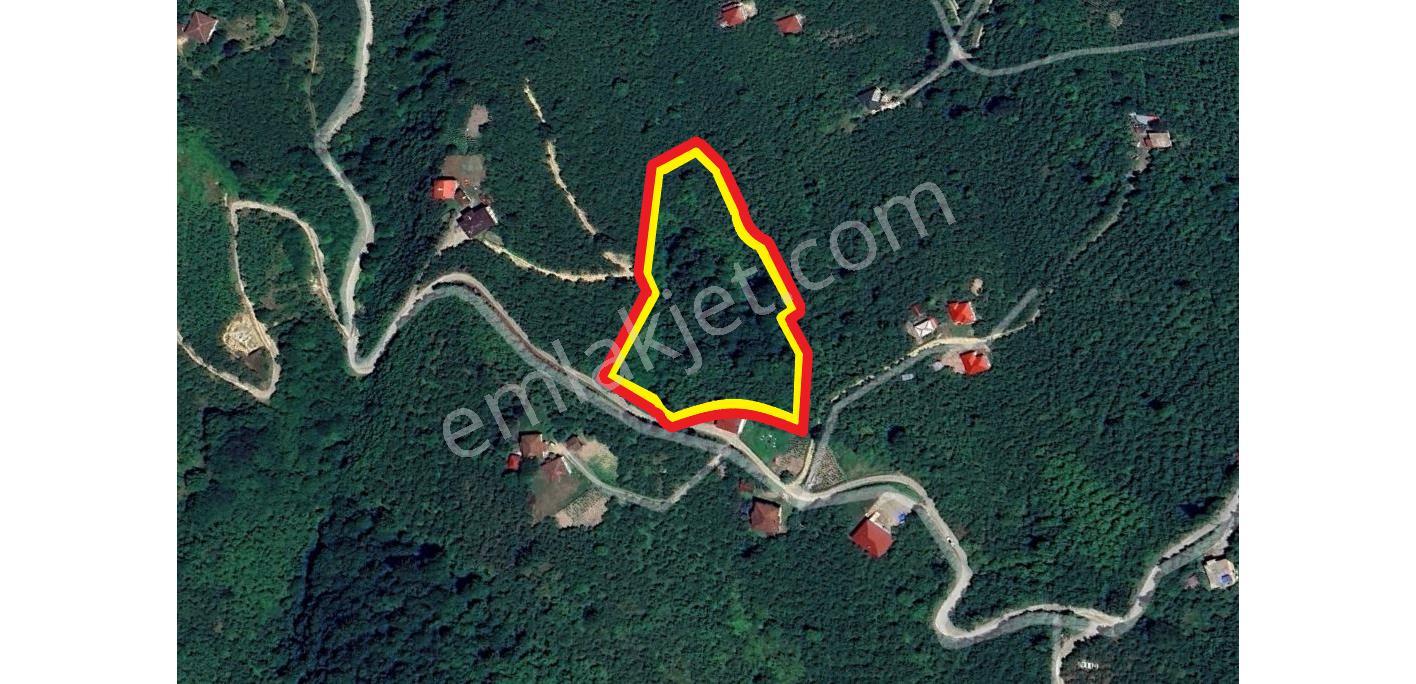Trabzon Yomra Şanlı Mahallesi 8.136 M2 Satılık Arsa - Görsel 22