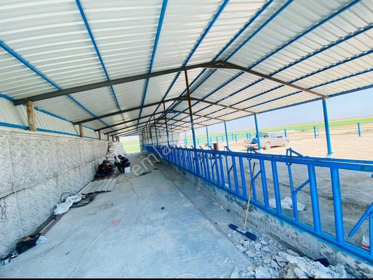 Kurulu Düzen Karatay İsmil Desat Ilık Ciftlık - Görsel 3