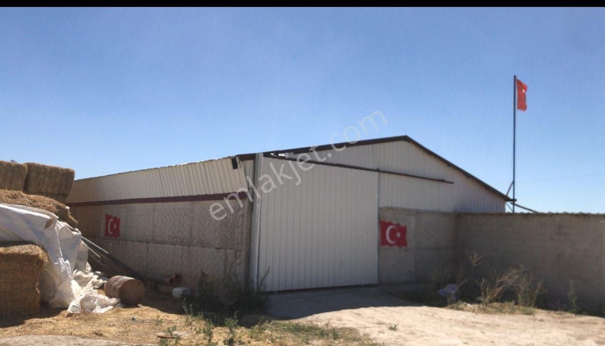 Kurulu Düzen Karatay İsmil Desat Ilık Ciftlık - Görsel 8