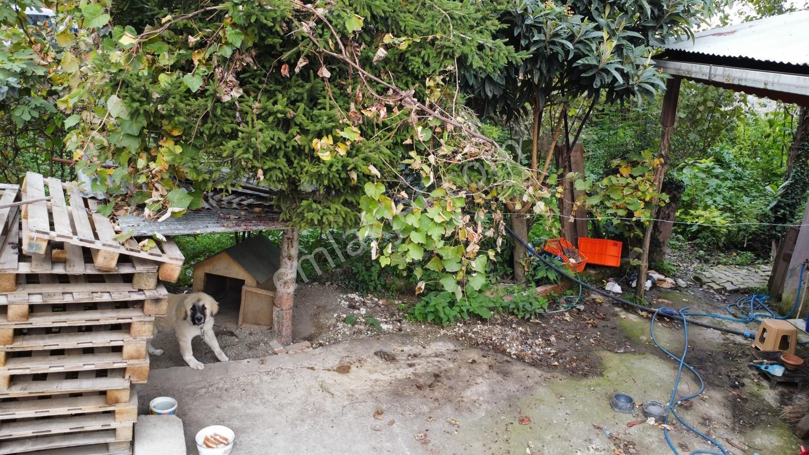 Trabzon Çağlayan'da Satılık Ticari İmarlı Arsa - Görsel 23