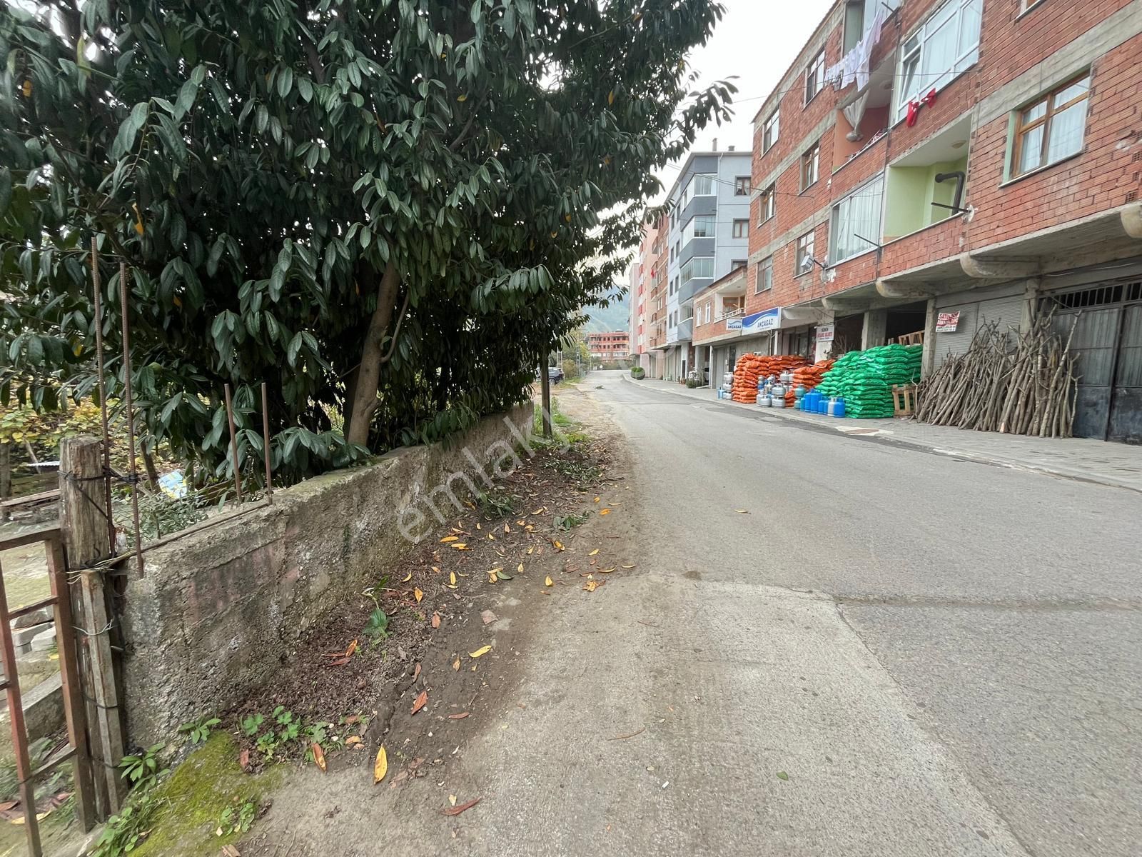 Trabzon Çağlayan'da Satılık Ticari İmarlı Arsa - Görsel 22