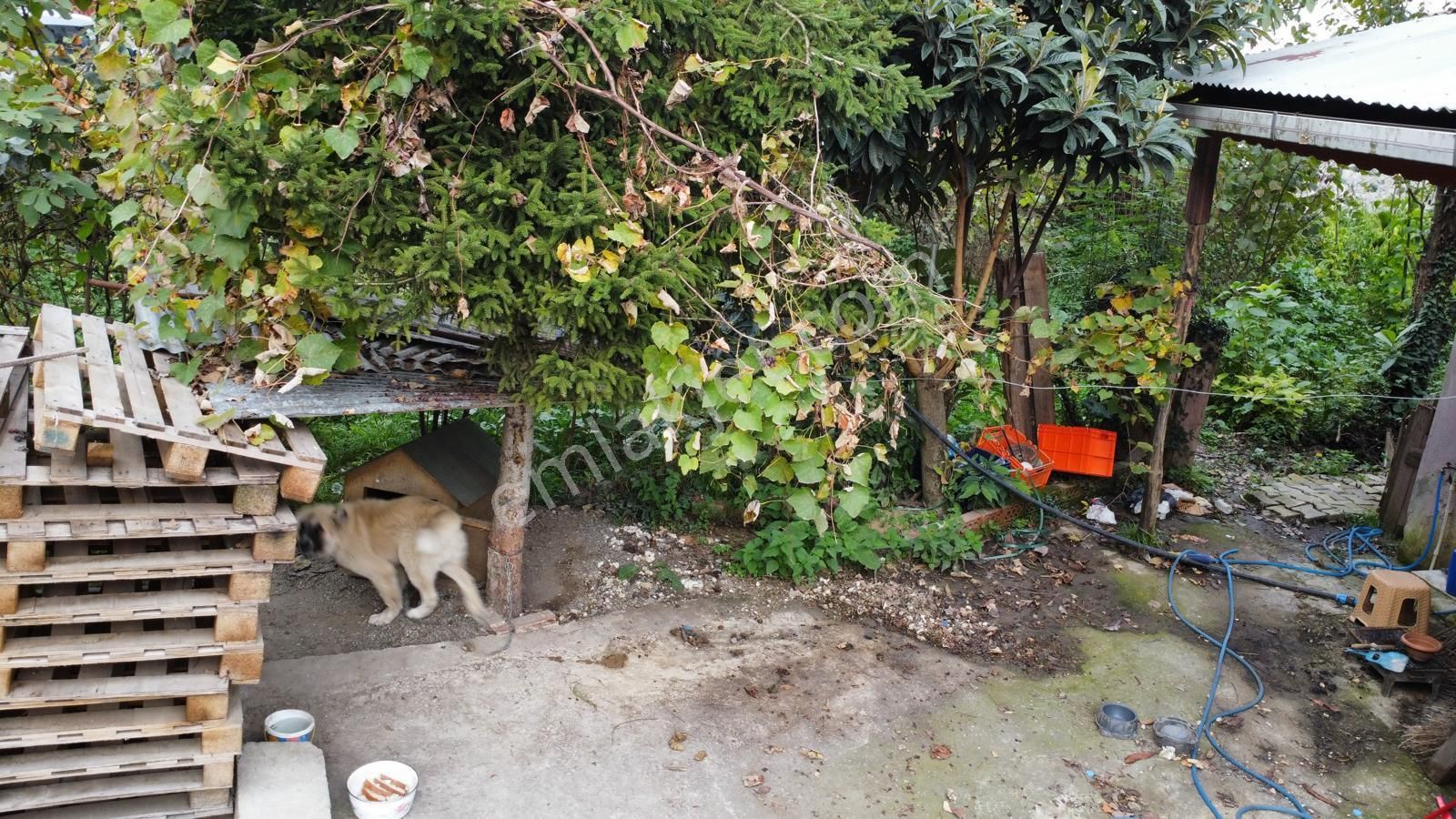 Trabzon Çağlayan'da Satılık Ticari İmarlı Arsa - Görsel 11