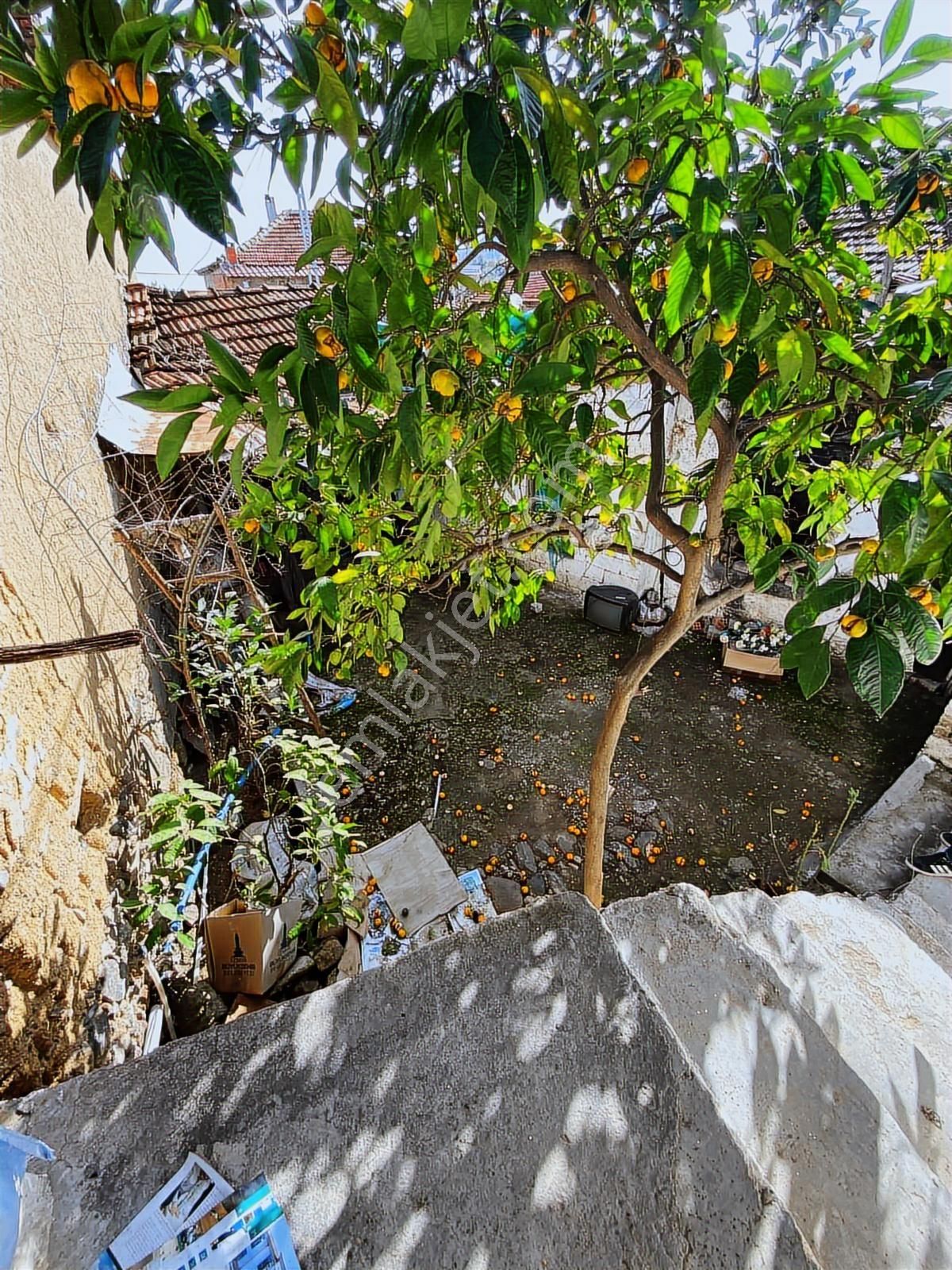 Bergama Karalar Köyü Fırsat Köy Evi - Görsel 32