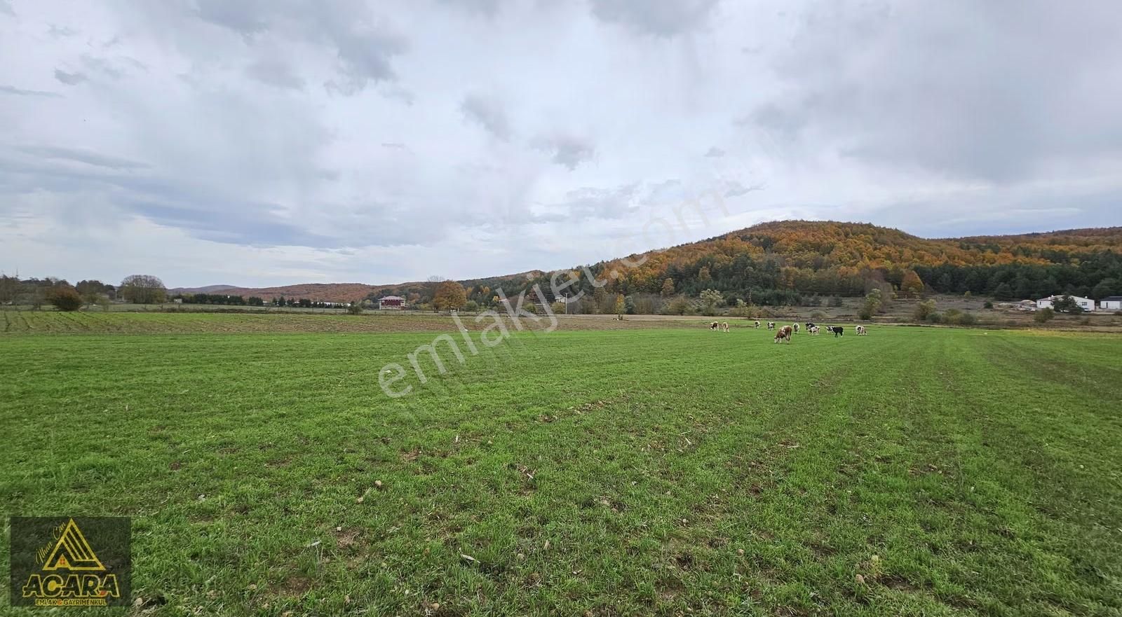 Acara'dan Satılık/iznik Hacıosman'da/5 Adet İmarlı Projelik Arsa - Görsel 5