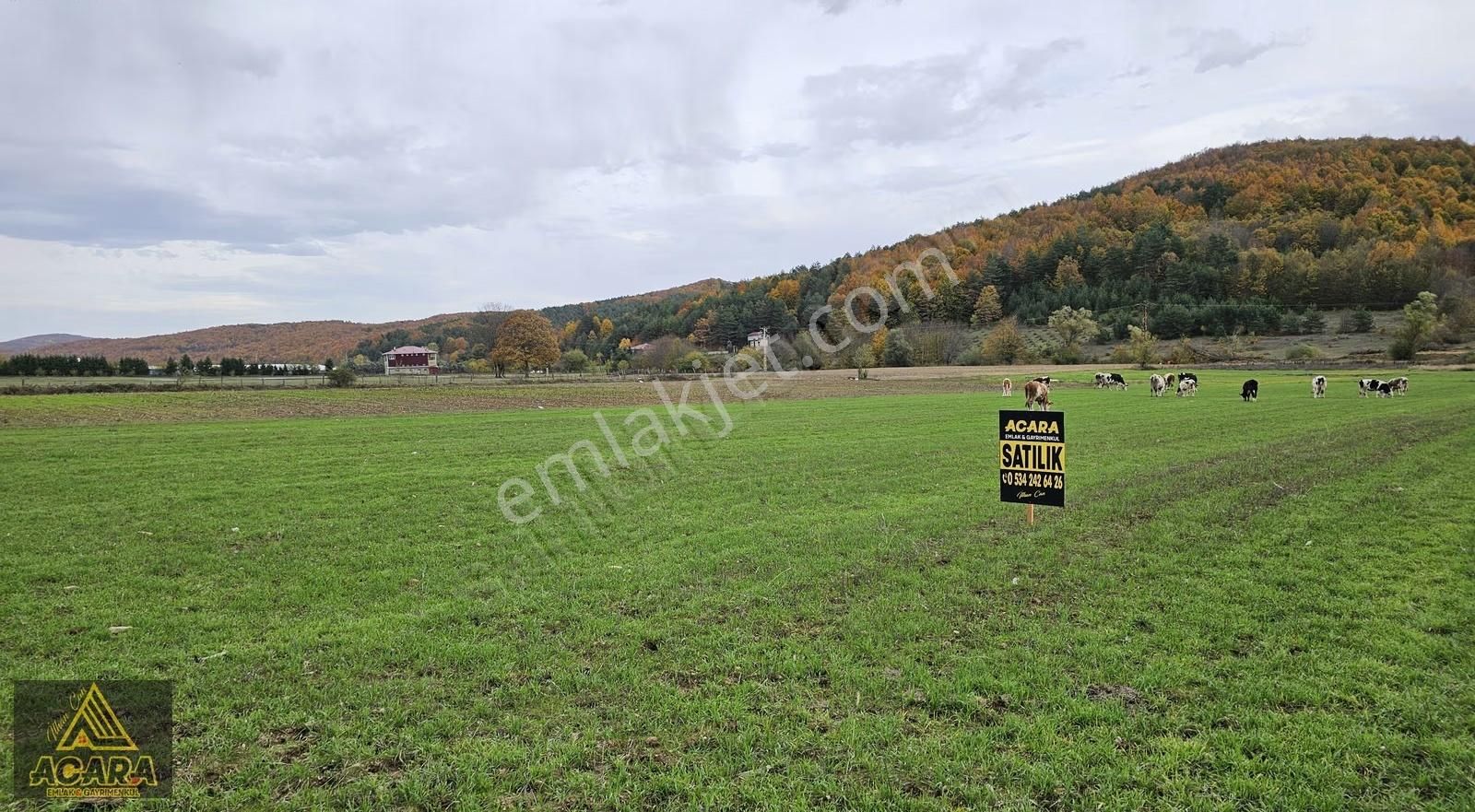 Acara'dan Satılık/iznik Hacıosman'da/5 Adet İmarlı Projelik Arsa - Görsel 9
