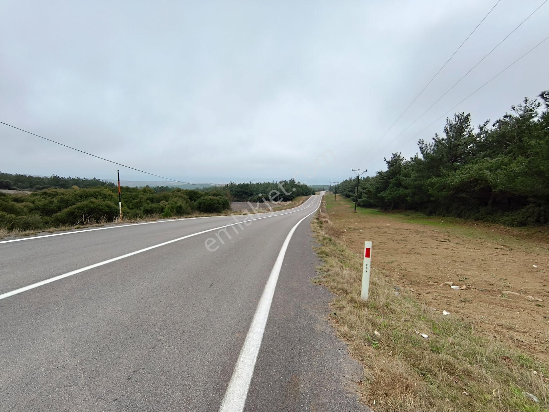 Bulut Yatırımdan 6340 M² İçerisine Villa Yapabileceğiniz Cevizlik - Görsel 19