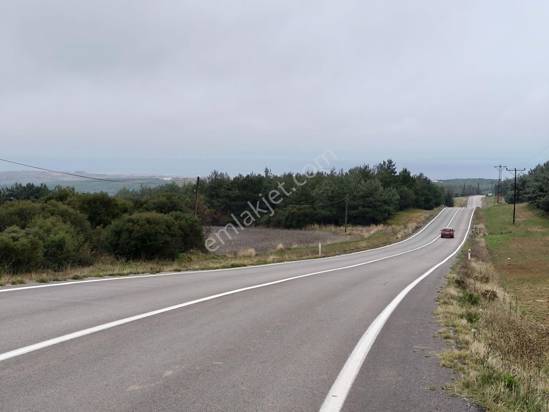 Bulut Yatırımdan 6340 M² İçerisine Villa Yapabileceğiniz Cevizlik - Görsel 34