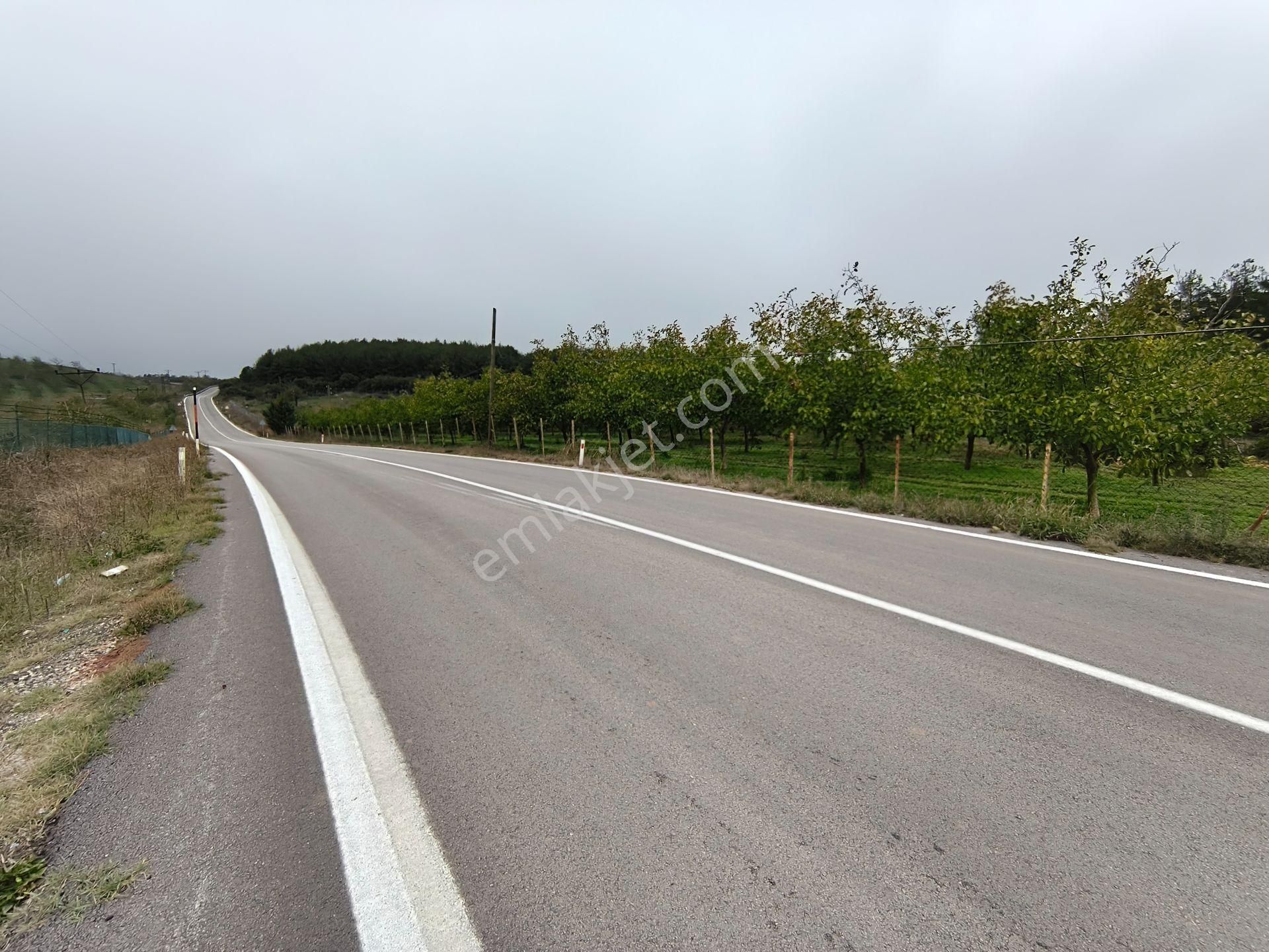 Bulut Yatırımdan 6340 M² İçerisine Villa Yapabileceğiniz Cevizlik - Görsel 32