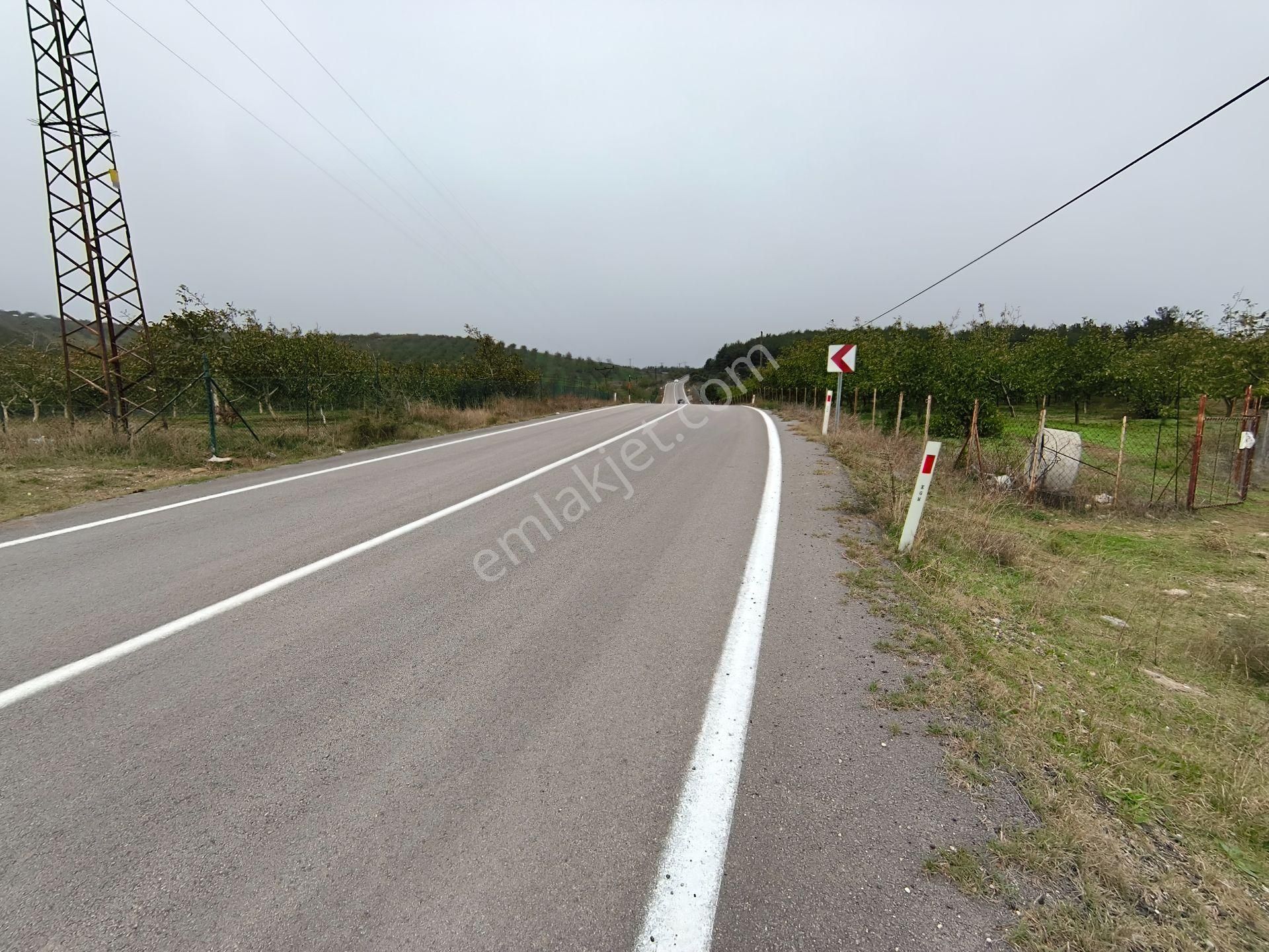 Bulut Yatırımdan 6340 M² İçerisine Villa Yapabileceğiniz Cevizlik - Görsel 23