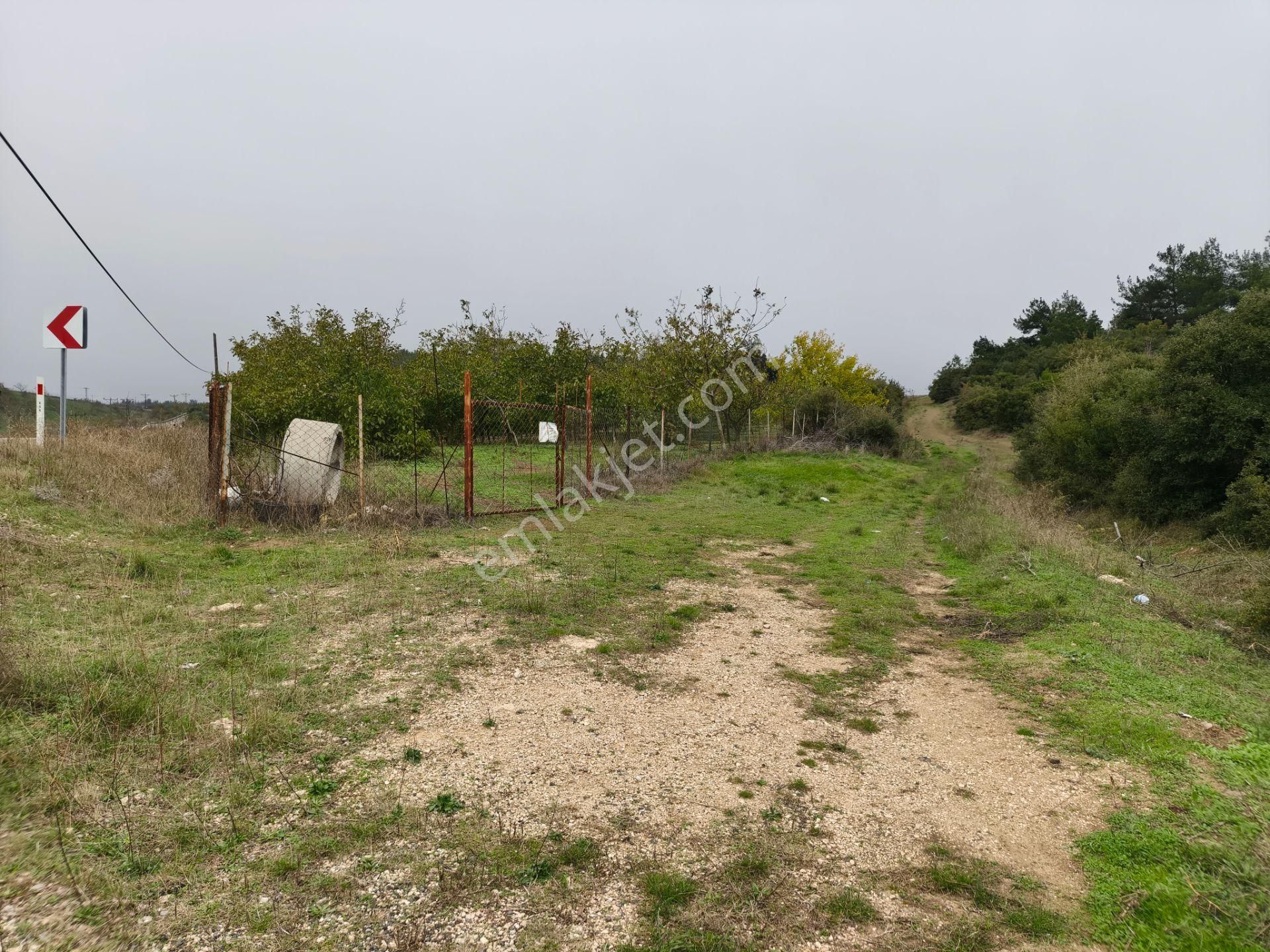 Bulut Yatırımdan 6340 M² İçerisine Villa Yapabileceğiniz Cevizlik - Görsel 21