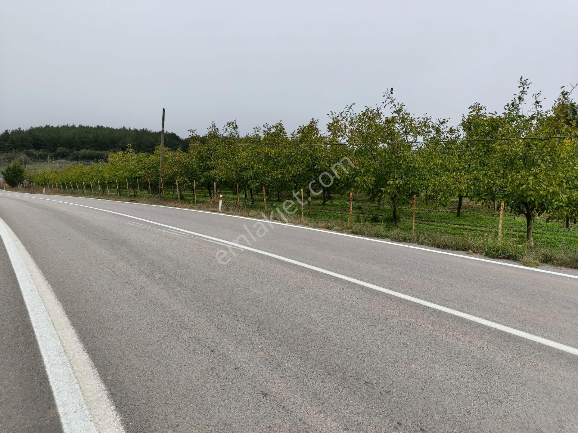 Bulut Yatırımdan 6340 M² İçerisine Villa Yapabileceğiniz Cevizlik - Görsel 28