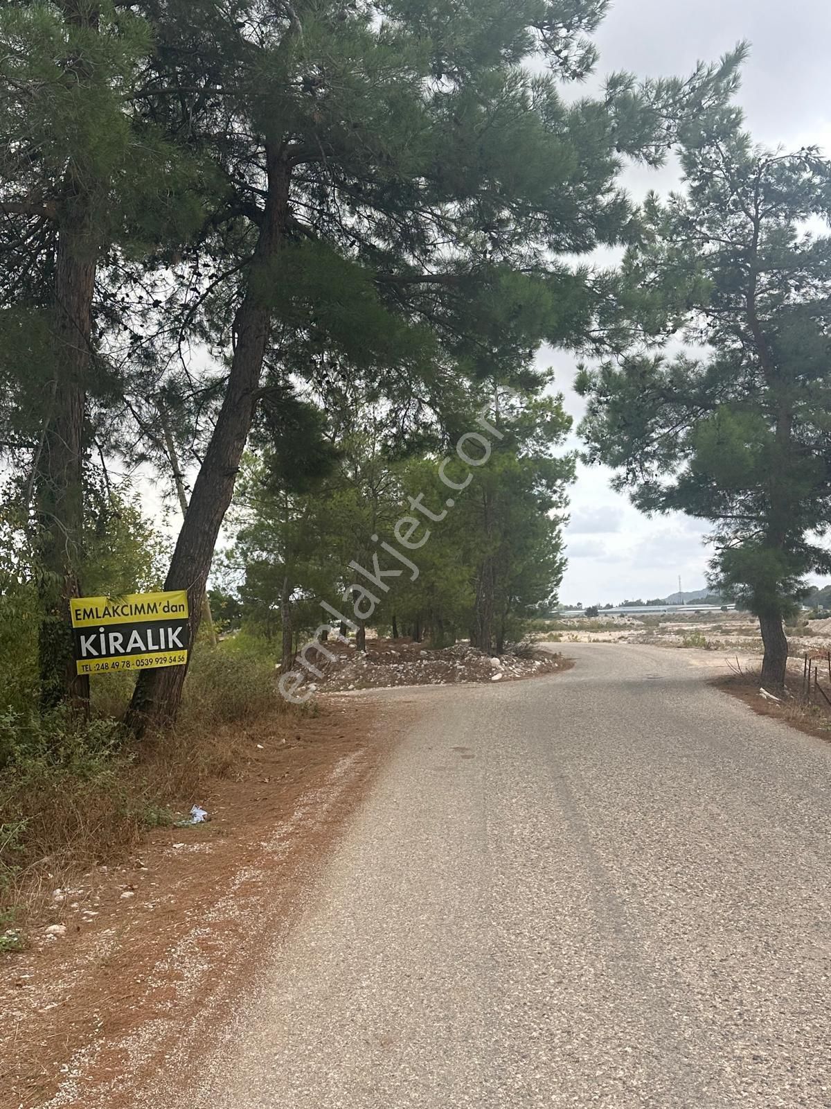 Konyaaltı Aşağıkaraman’da 7.400 M2 Kiralık Tarlamız - Görsel 2