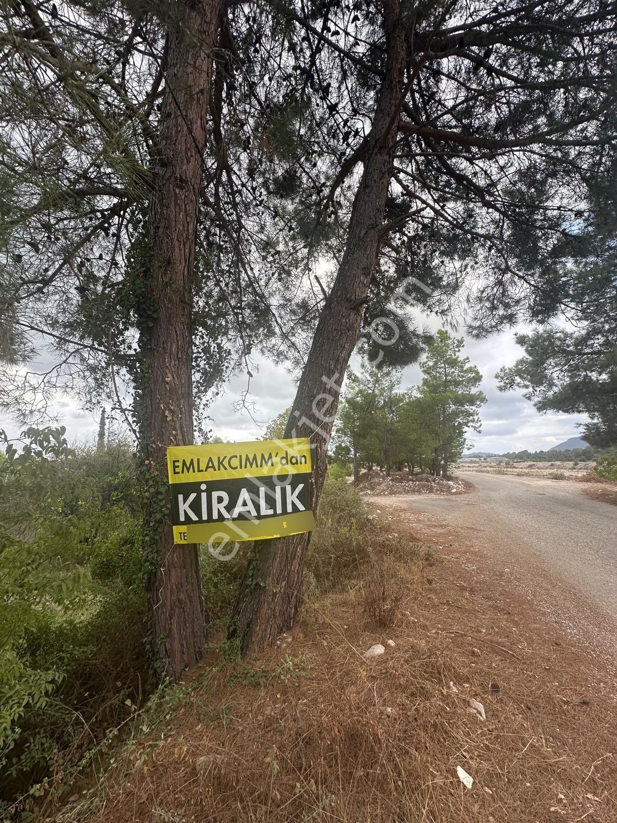 Konyaaltı Aşağıkaraman’da 7.400 M2 Kiralık Tarlamız