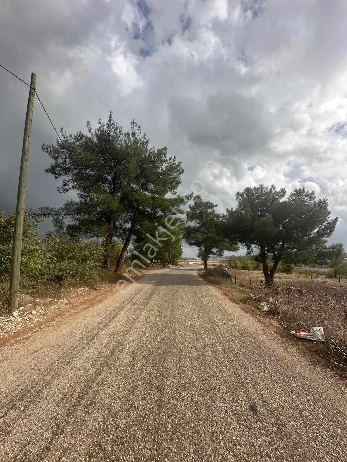 Konyaaltı Aşağıkaraman’da 7.400 M2 Kiralık Tarlamız - Görsel 9