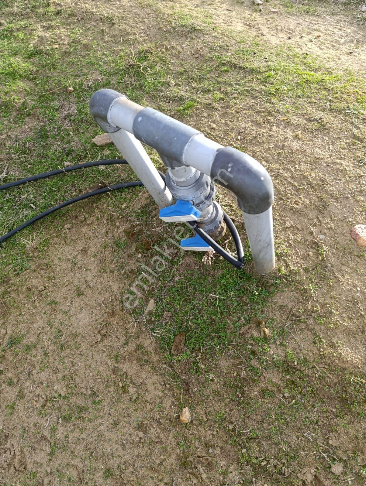 Manisa Kula Bebekli Mah. Satılık Cevizli Tarla - Görsel 29