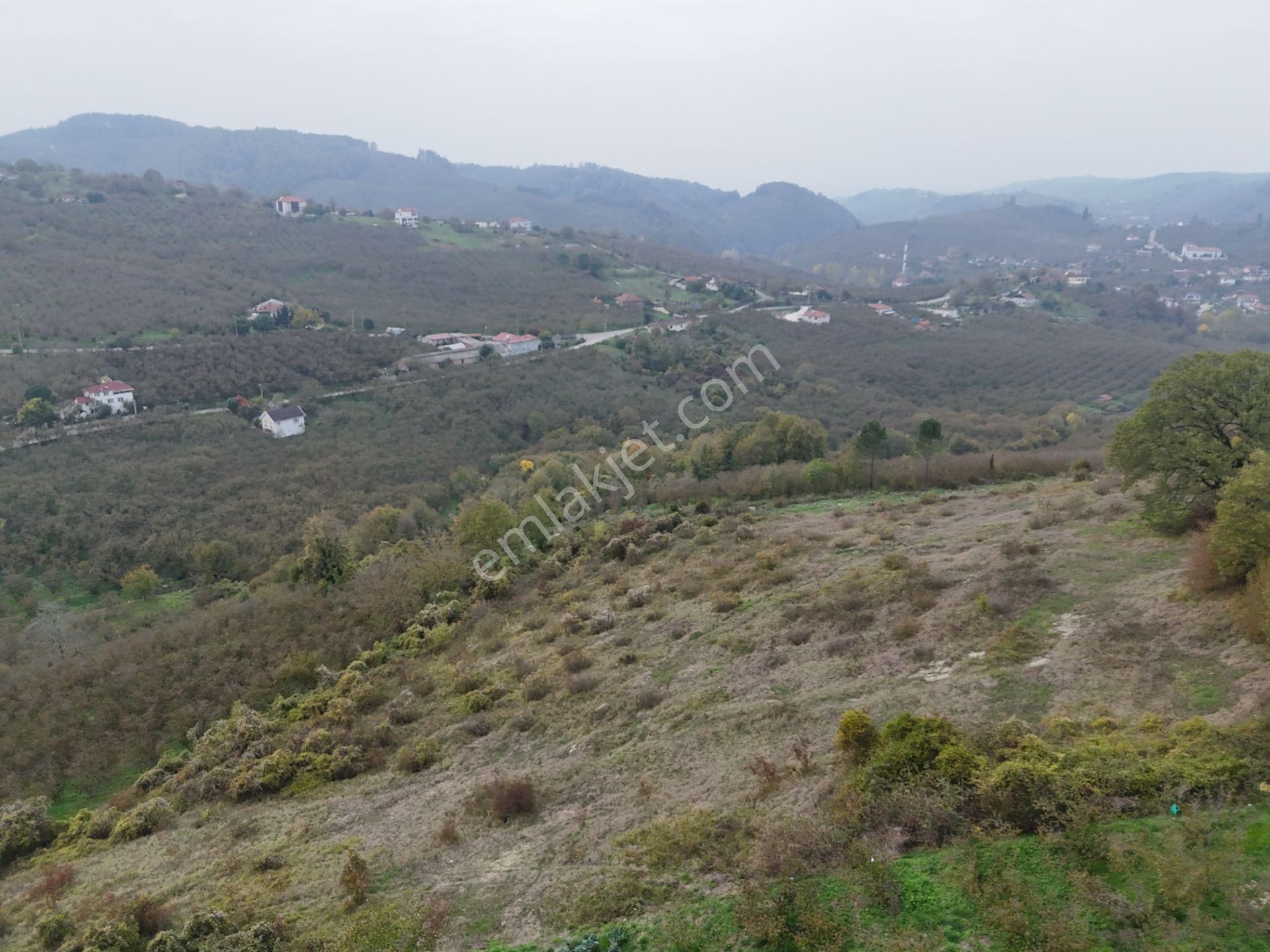 Re/max Maviden İmar Sınırında Doğa Manz. 6800 M2 Fındık Bahçesi - Görsel 10