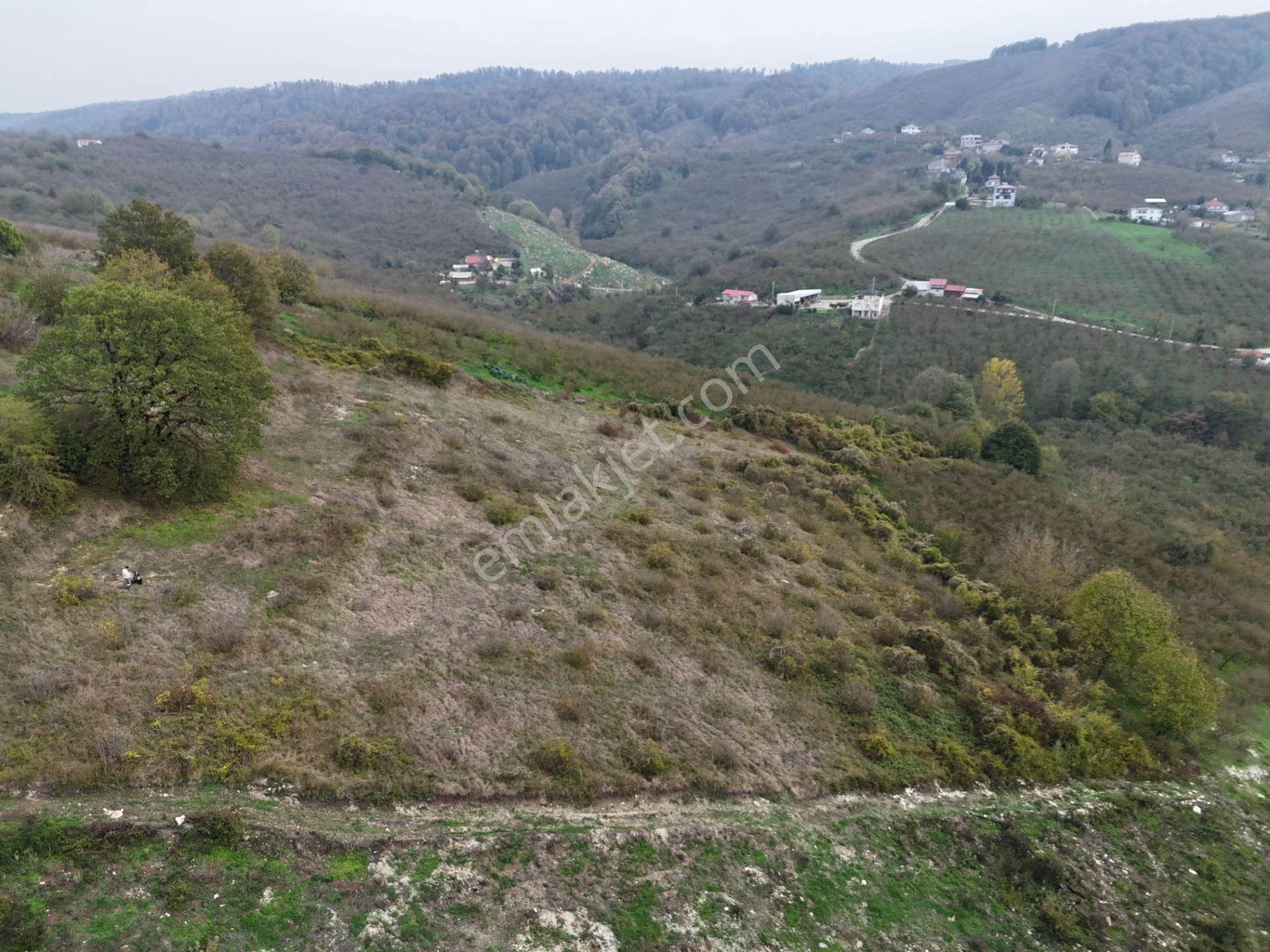 Re/max Maviden İmar Sınırında Doğa Manz. 6800 M2 Fındık Bahçesi - Görsel 3