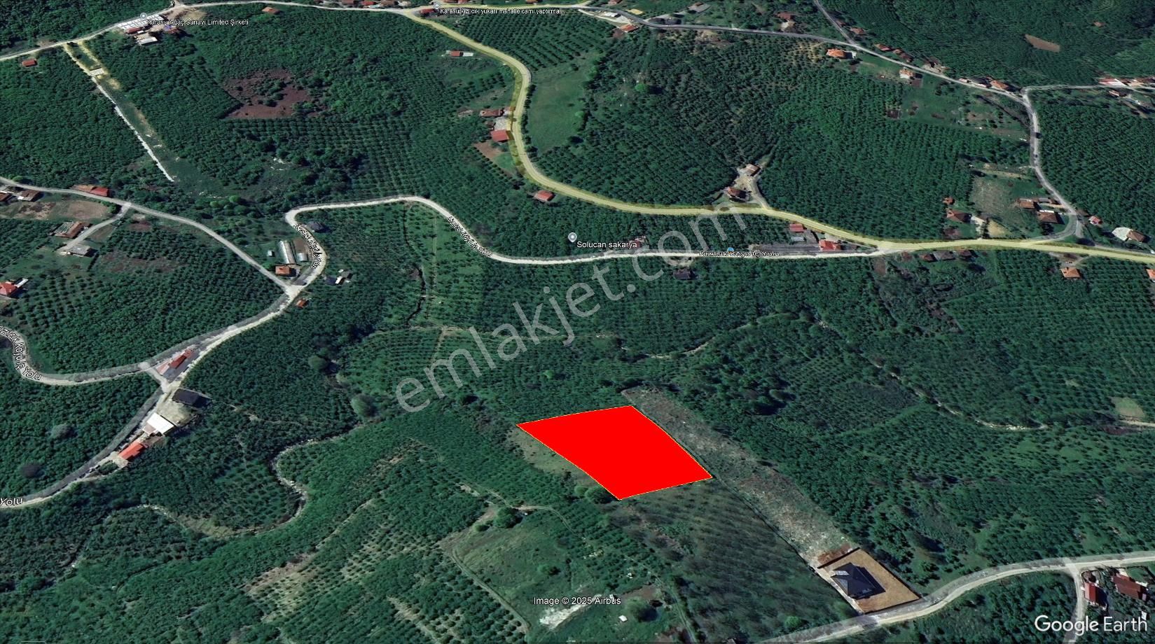 Re/max Maviden İmar Sınırında Doğa Manz. 6800 M2 Fındık Bahçesi - Görsel 19