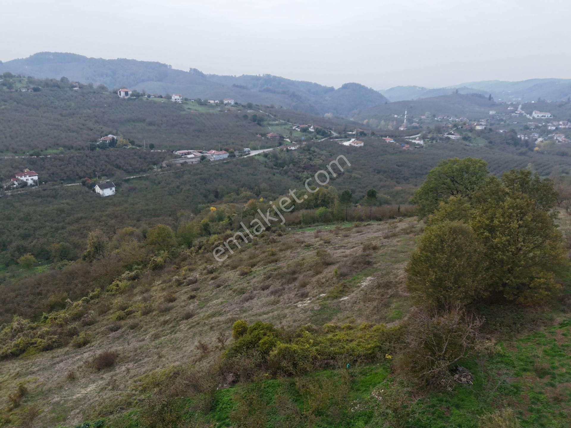 Re/max Maviden İmar Sınırında Doğa Manz. 6800 M2 Fındık Bahçesi - Görsel 11