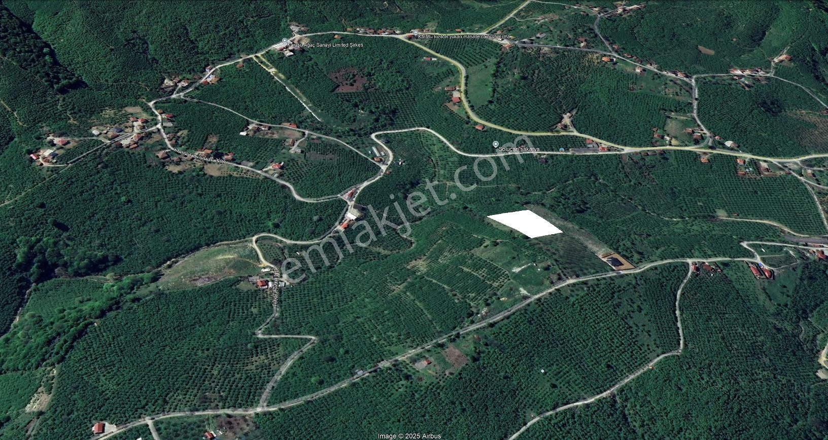 Re/max Maviden İmar Sınırında Doğa Manz. 6800 M2 Fındık Bahçesi - Görsel 17