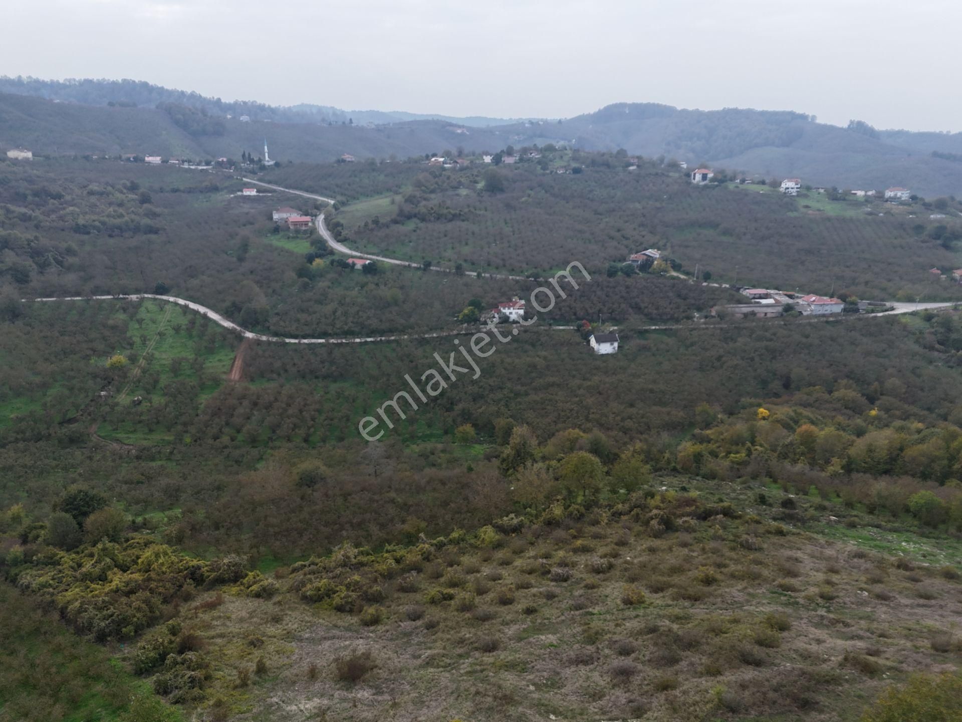 Re/max Maviden İmar Sınırında Doğa Manz. 6800 M2 Fındık Bahçesi - Görsel 13