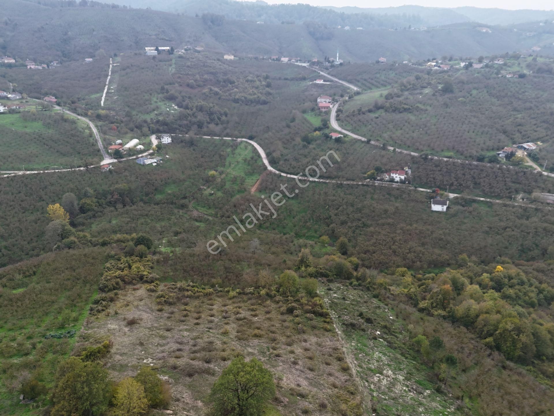 Re/max Maviden İmar Sınırında Doğa Manz. 6800 M2 Fındık Bahçesi - Görsel 15