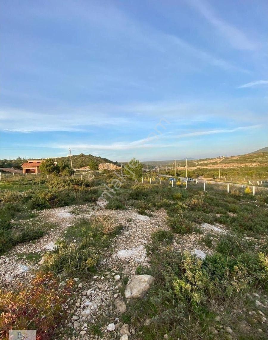 Bodrum Yoluna Sıfır Gör Manzaralı Köşe 610 Metre Villa Arsası - Görsel 6
