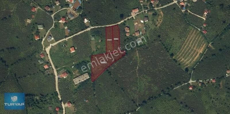 Ordu Burhanettin Mahallesi 1990 M2 Satılık Bağ&bahçe - Görsel 4