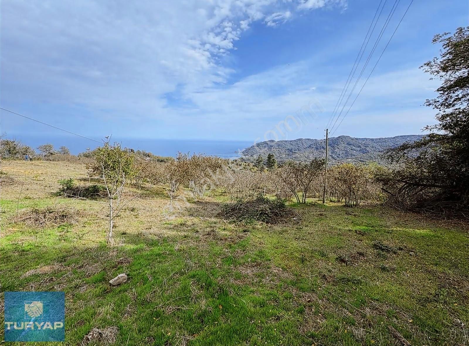 Yason'da Yola Çift Cepheli Parselenebilir Satılık 8410 M2 Arsa - Görsel 7