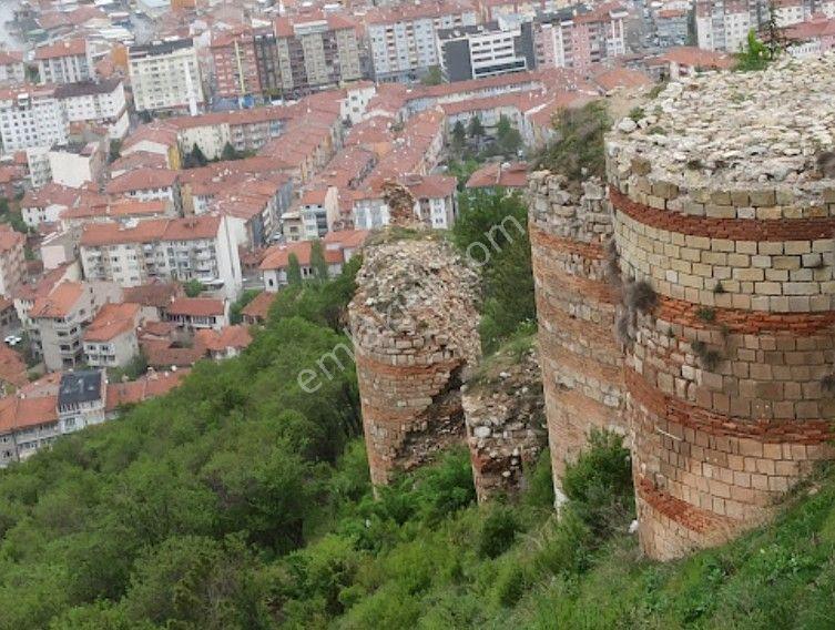 Kütahya Şaphane Subaşı Köyünde 2.217 M² Tarla Satılıktır