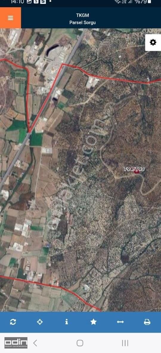 Ayvalık Kazımkarabekirde Asfalta 900 Mt Kanala Sıfır Zeytinlik - Görsel 3