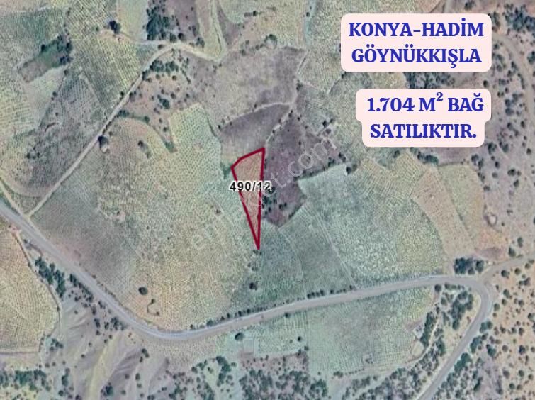 Konya Hadim Göynükkışla Köyünde 1.704 M² Bağ Satılıkt - Görsel 6