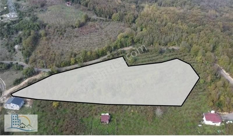 Şile Gül Emlkatan Kadı Köyde Satılık Fındıklık 8560 M2