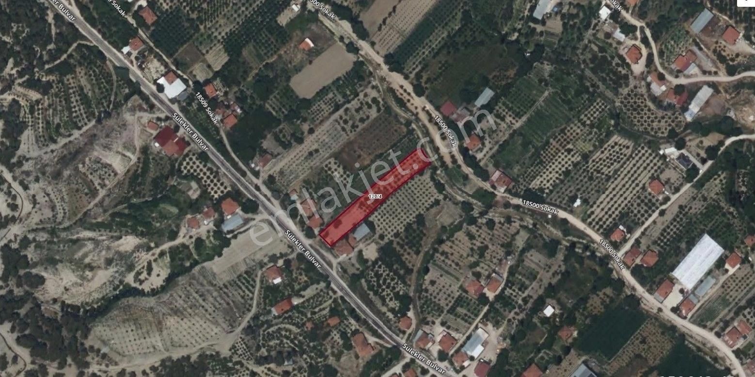 Korkuteli Sülekler'de Ana Yola Cephe Meyve Bahçesi 2243 Metrekare Meyve Ağaçları Dolu