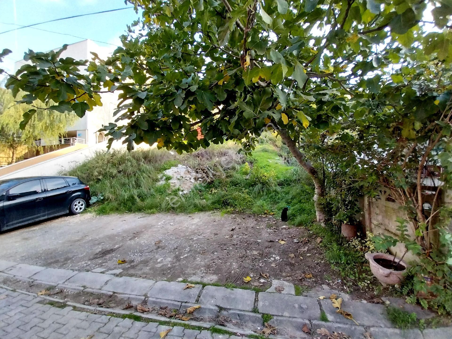 Remax Desıgn Satılık Arsa - Görsel 2