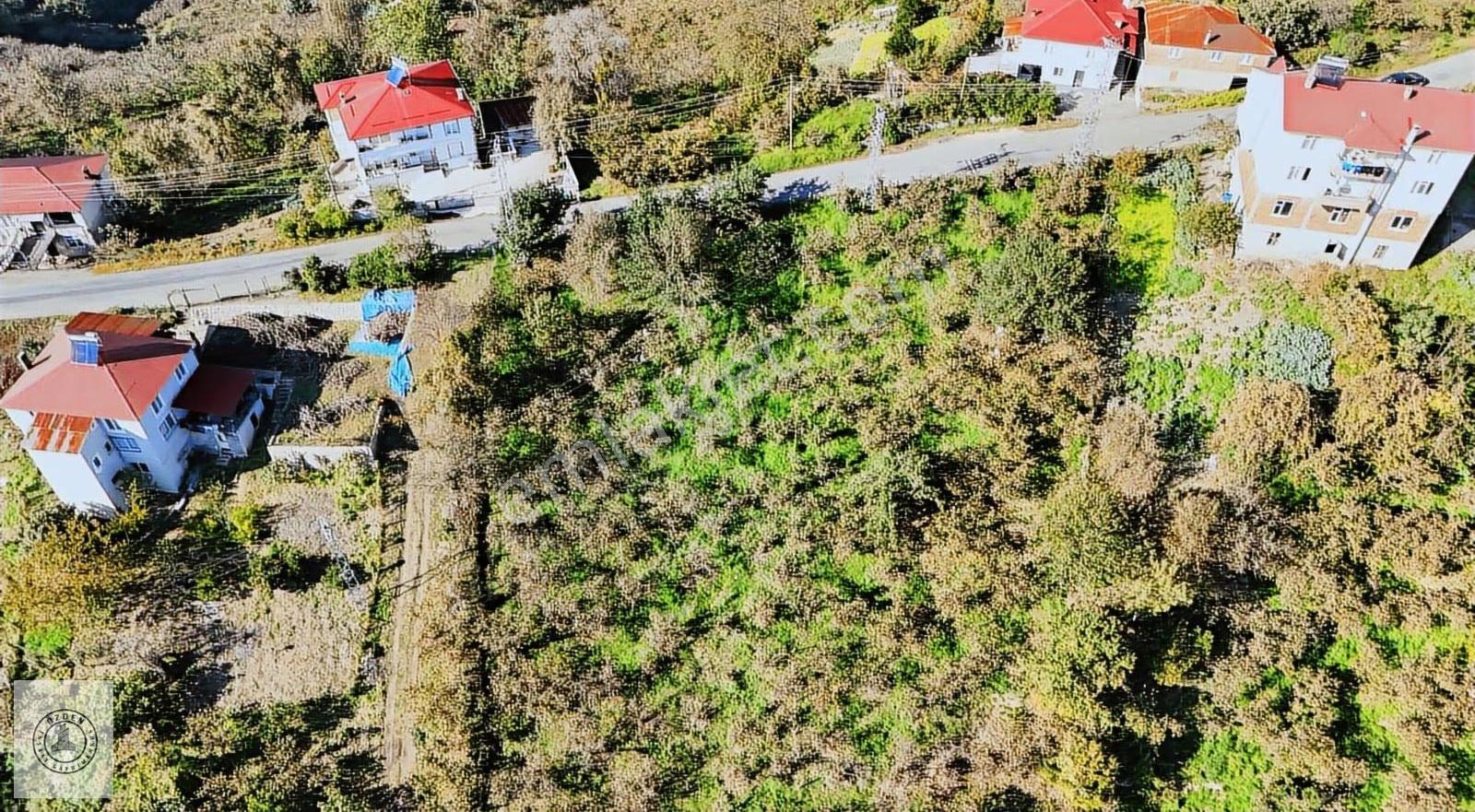 Özden Gayrimenkul'den Boztekke'de Satılık Fındık Bahçesi - Görsel 6