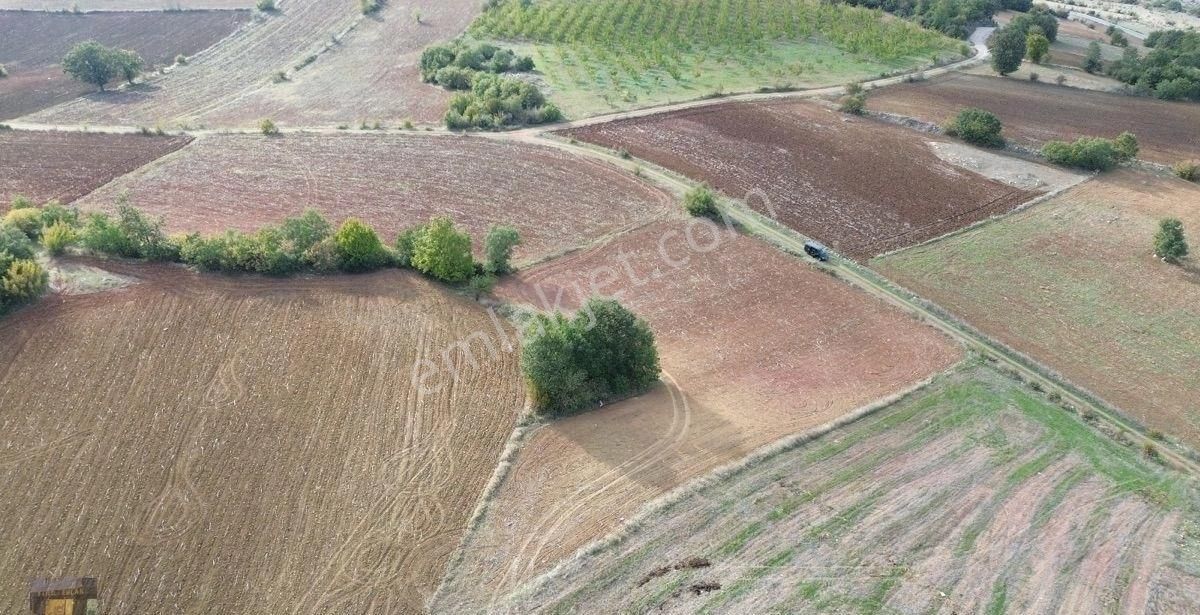 Yatırımlık Tarla İnegöl Yeniyörük Köyü - Görsel 3