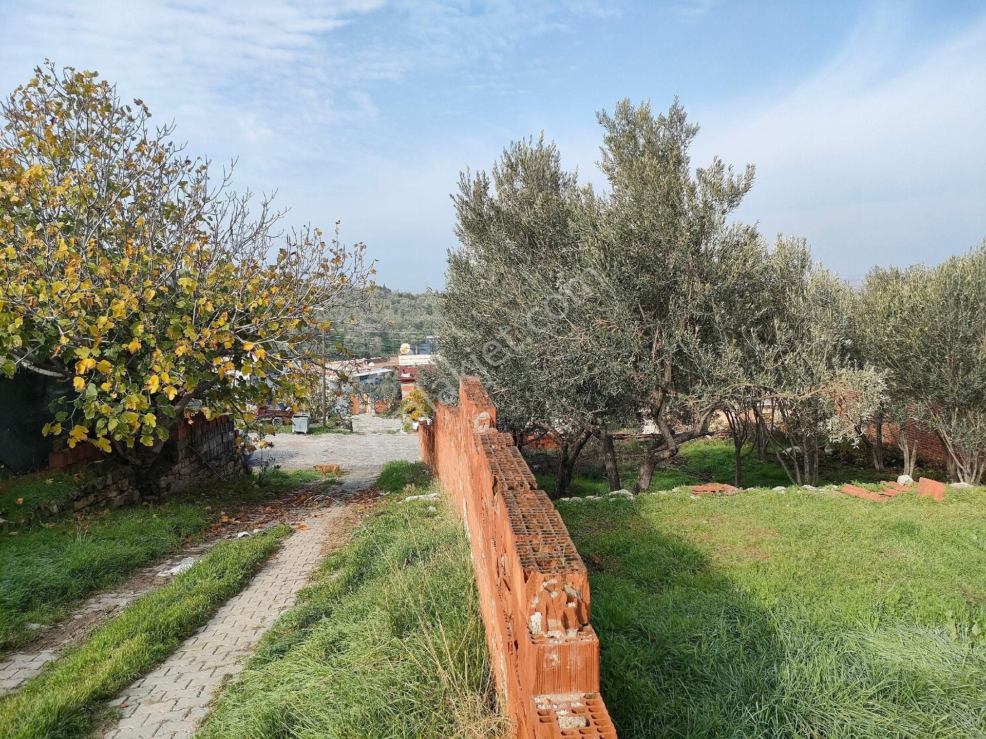 Poyracık Ta 442 Metrekare Satılık İmarlı Arsa - Görsel 5