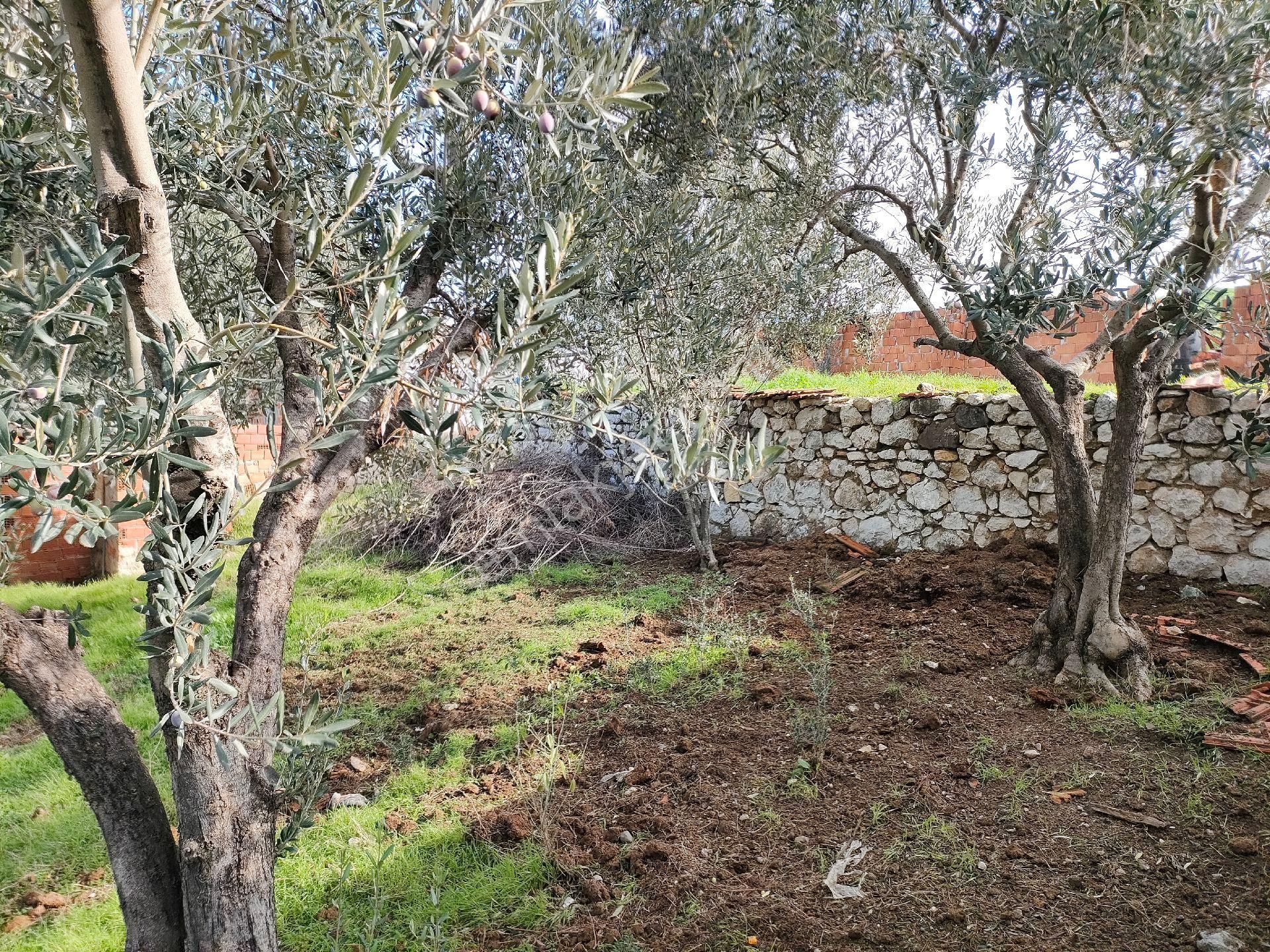 Poyracık Ta 442 Metrekare Satılık İmarlı Arsa - Görsel 10