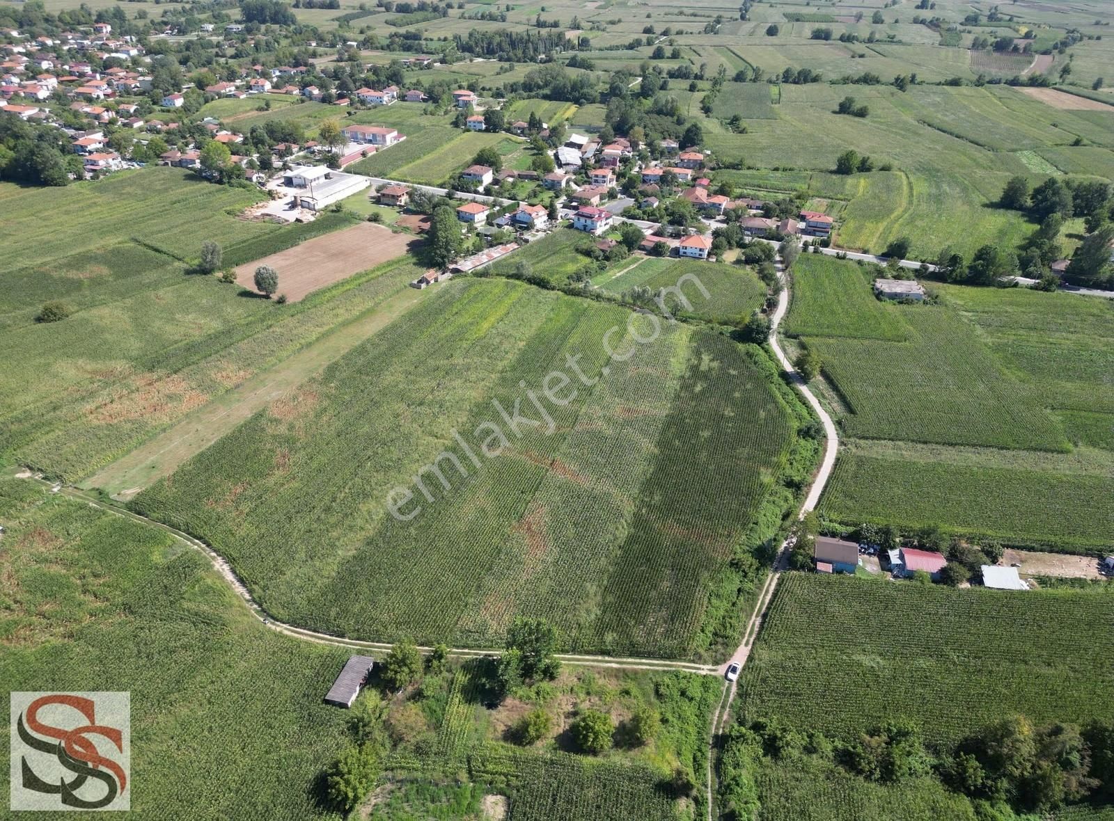 Adapazarı Budaklarda 1,500 M²'si İmarlı 4.460 M² Yatırımlk Tarla - Görsel 18