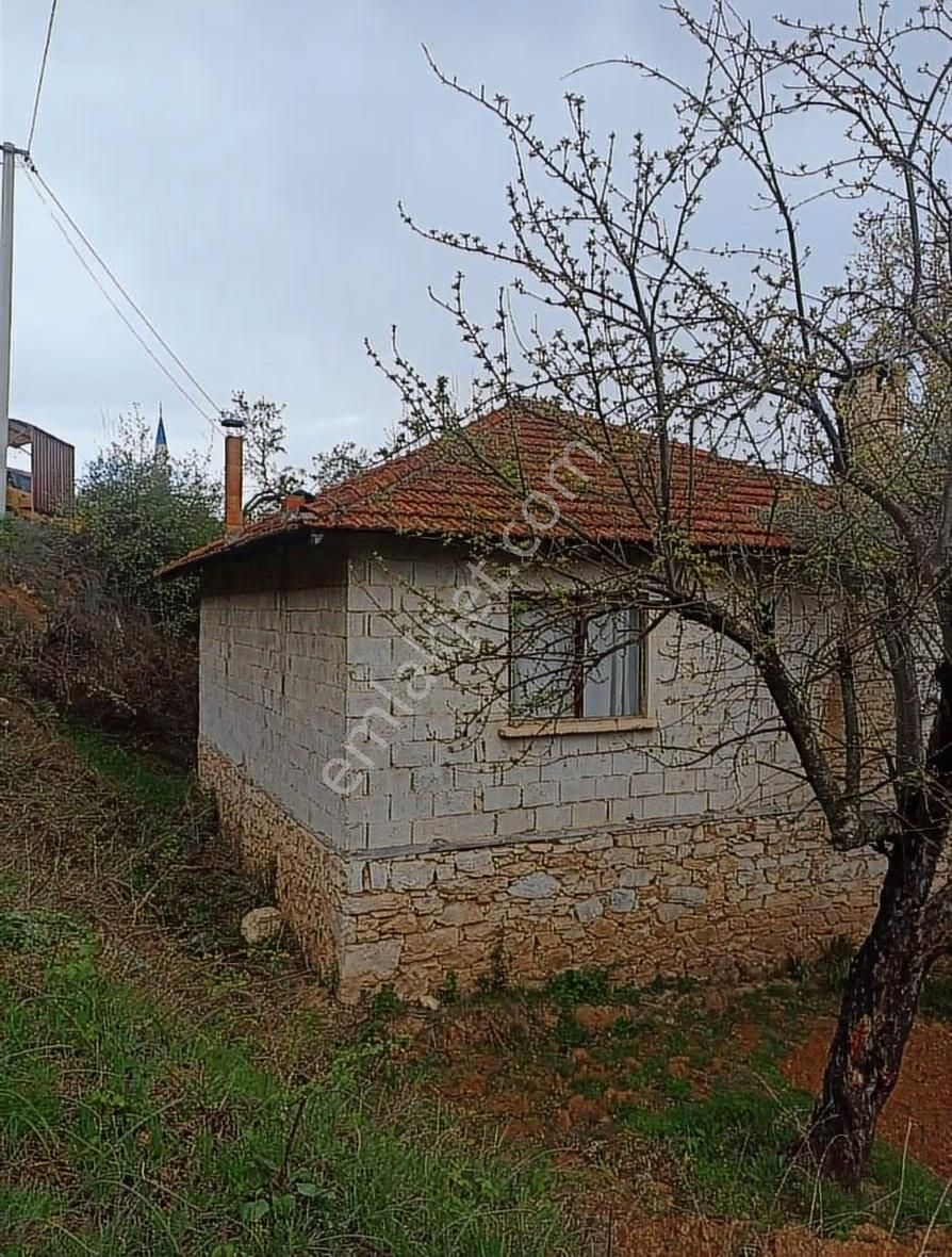 Aydin Bozdağan Örencik 'te Satılık Kôy Evi Ve Zeytin Bahçesi ! - Görsel 12