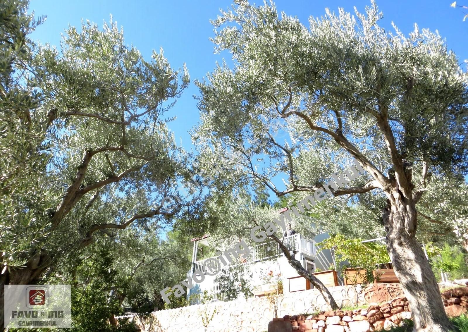 Torbalı Dağkızılca | 1.040 M2 Arazi İçinde | Satılık Çiftlik Evi - Görsel 29