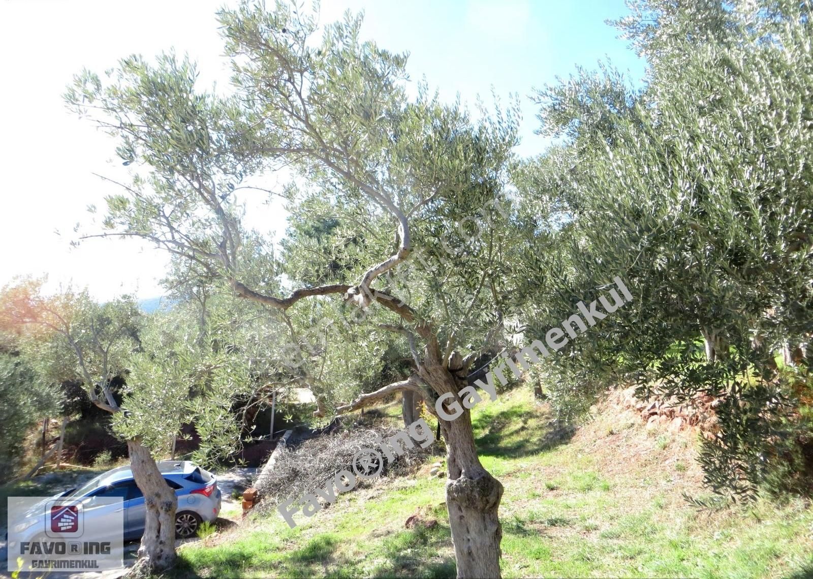 Torbalı Dağkızılca | 1.040 M2 Arazi İçinde | Satılık Çiftlik Evi - Görsel 12