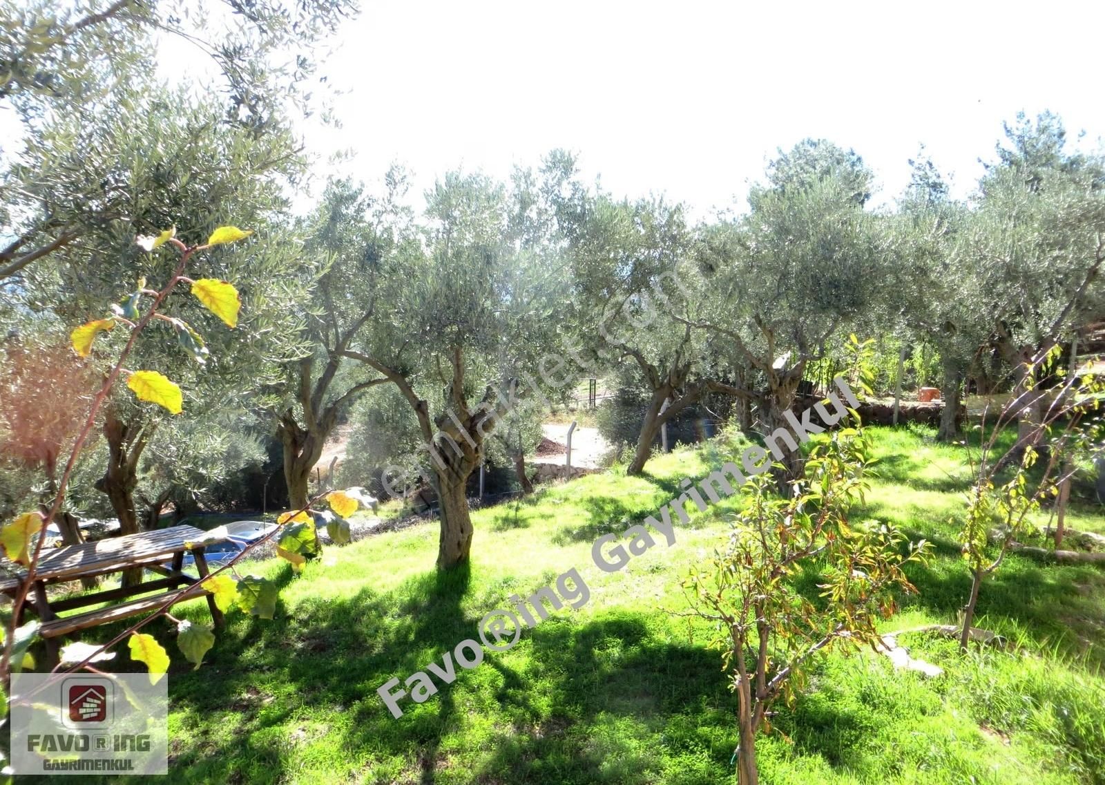 Torbalı Dağkızılca | 1.040 M2 Arazi İçinde | Satılık Çiftlik Evi - Görsel 26