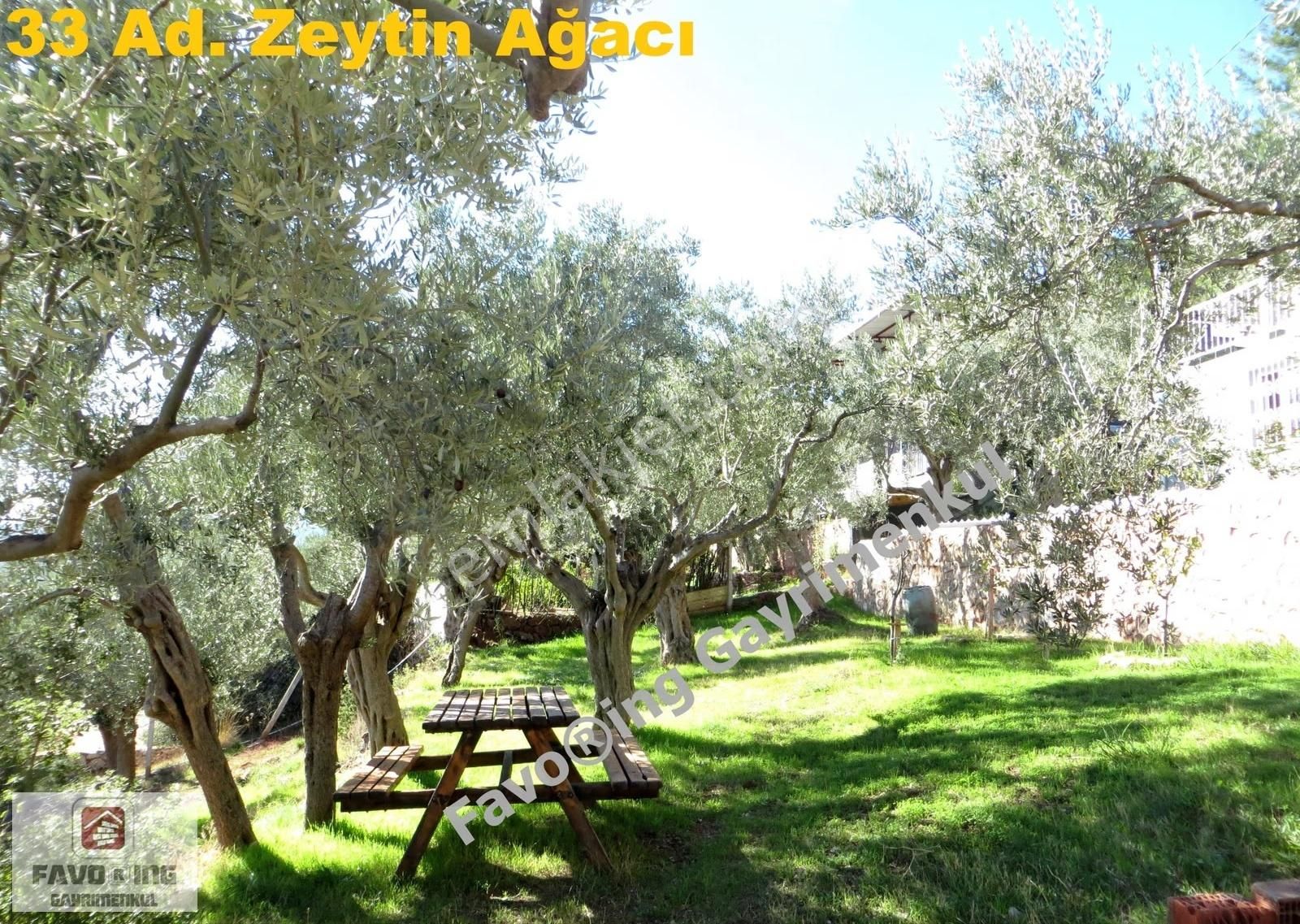 Torbalı Dağkızılca | 1.040 M2 Arazi İçinde | Satılık Çiftlik Evi - Görsel 22