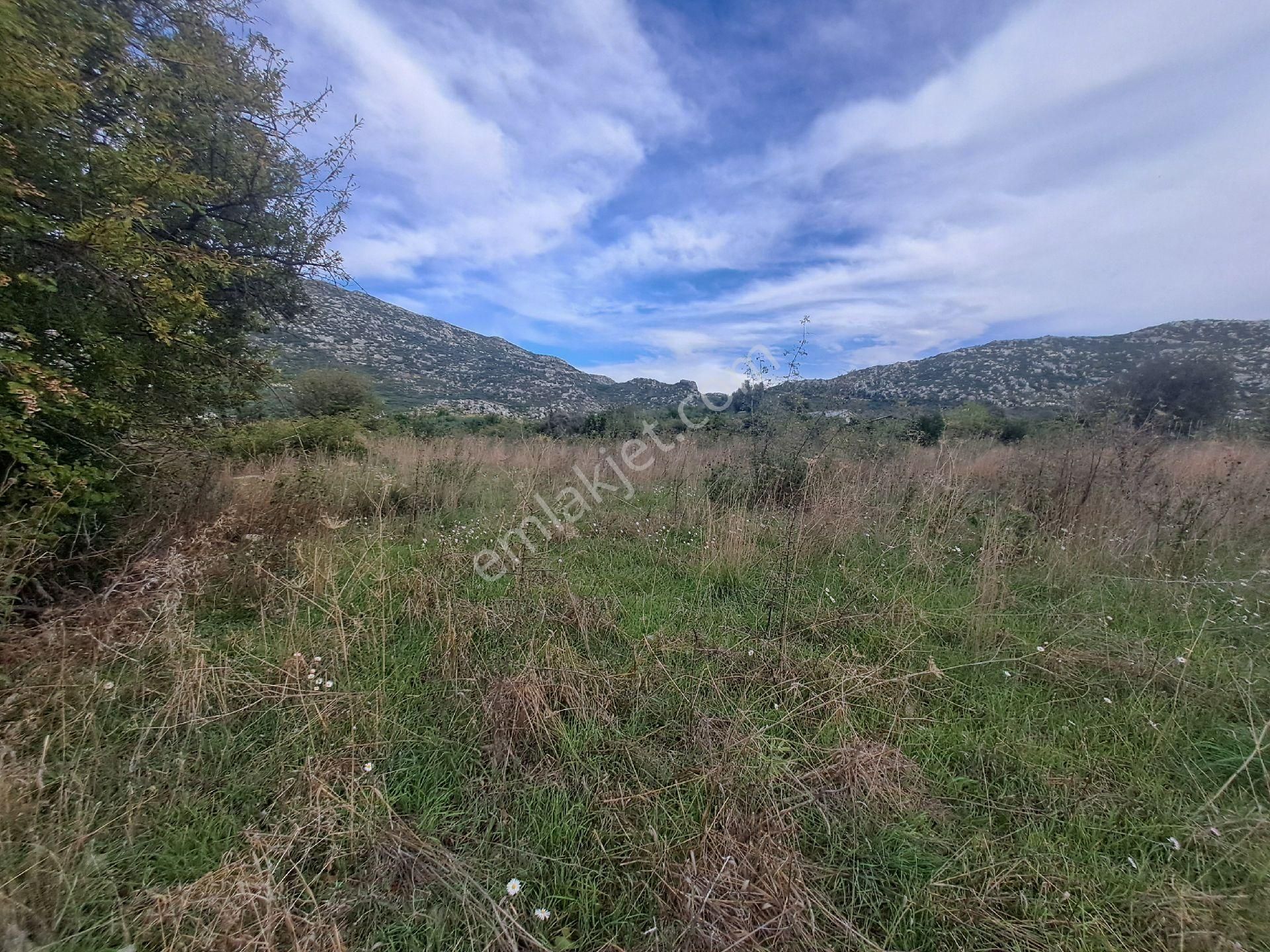 Mana Gat Sırköyü De Satılık Müstakil Tarla - Görsel 27