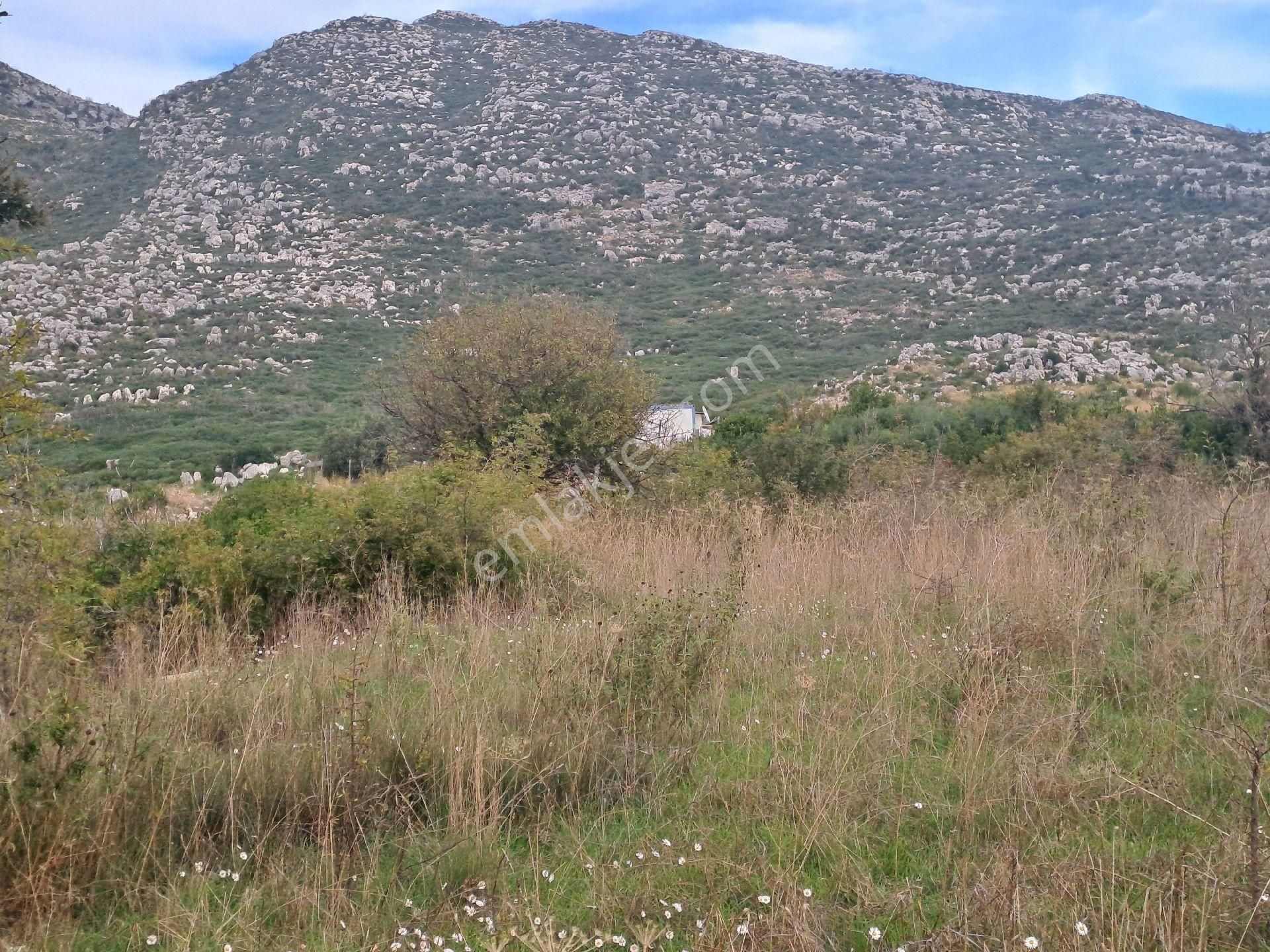 Mana Gat Sırköyü De Satılık Müstakil Tarla - Görsel 19