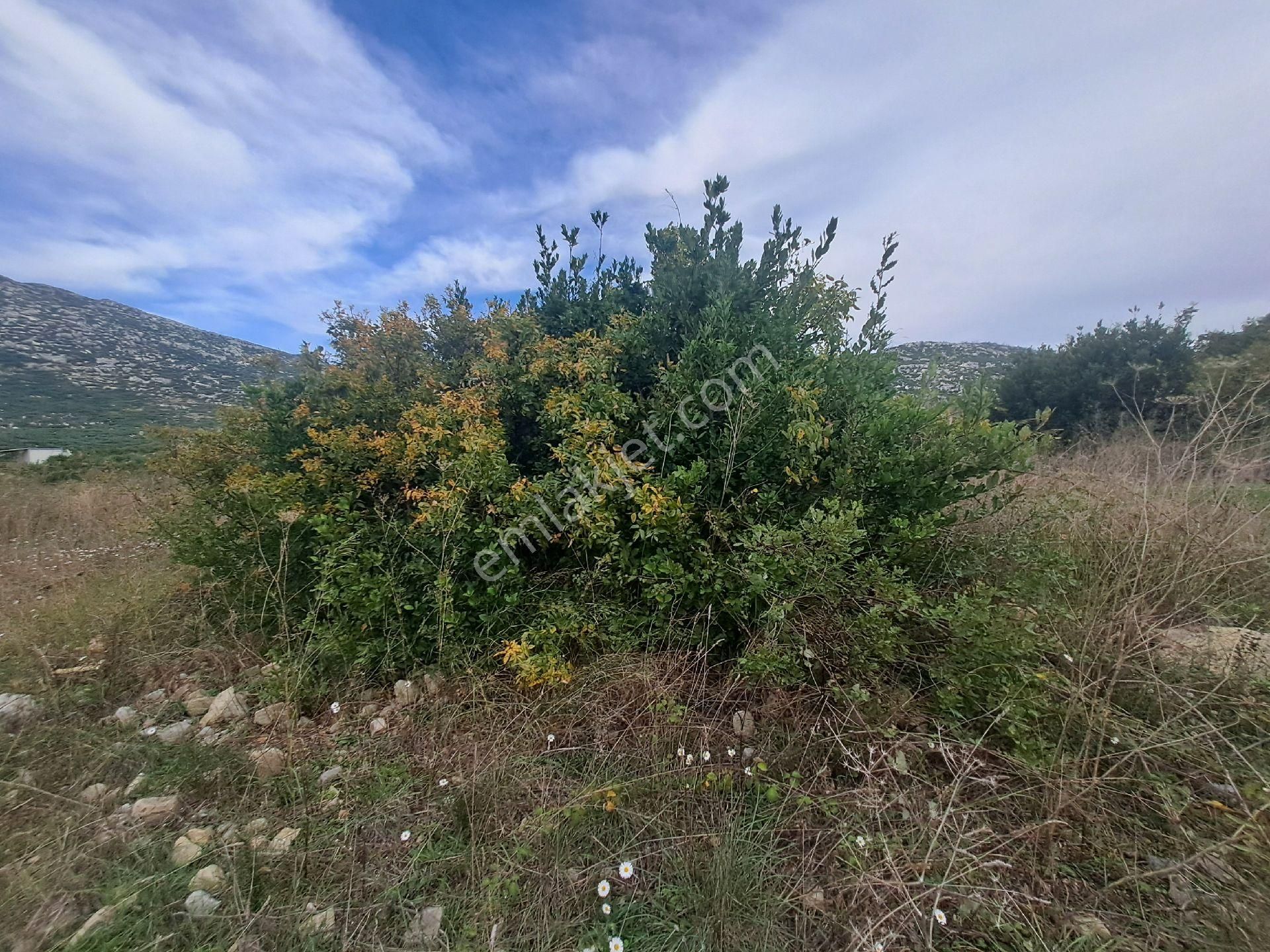 Mana Gat Sırköyü De Satılık Müstakil Tarla - Görsel 11