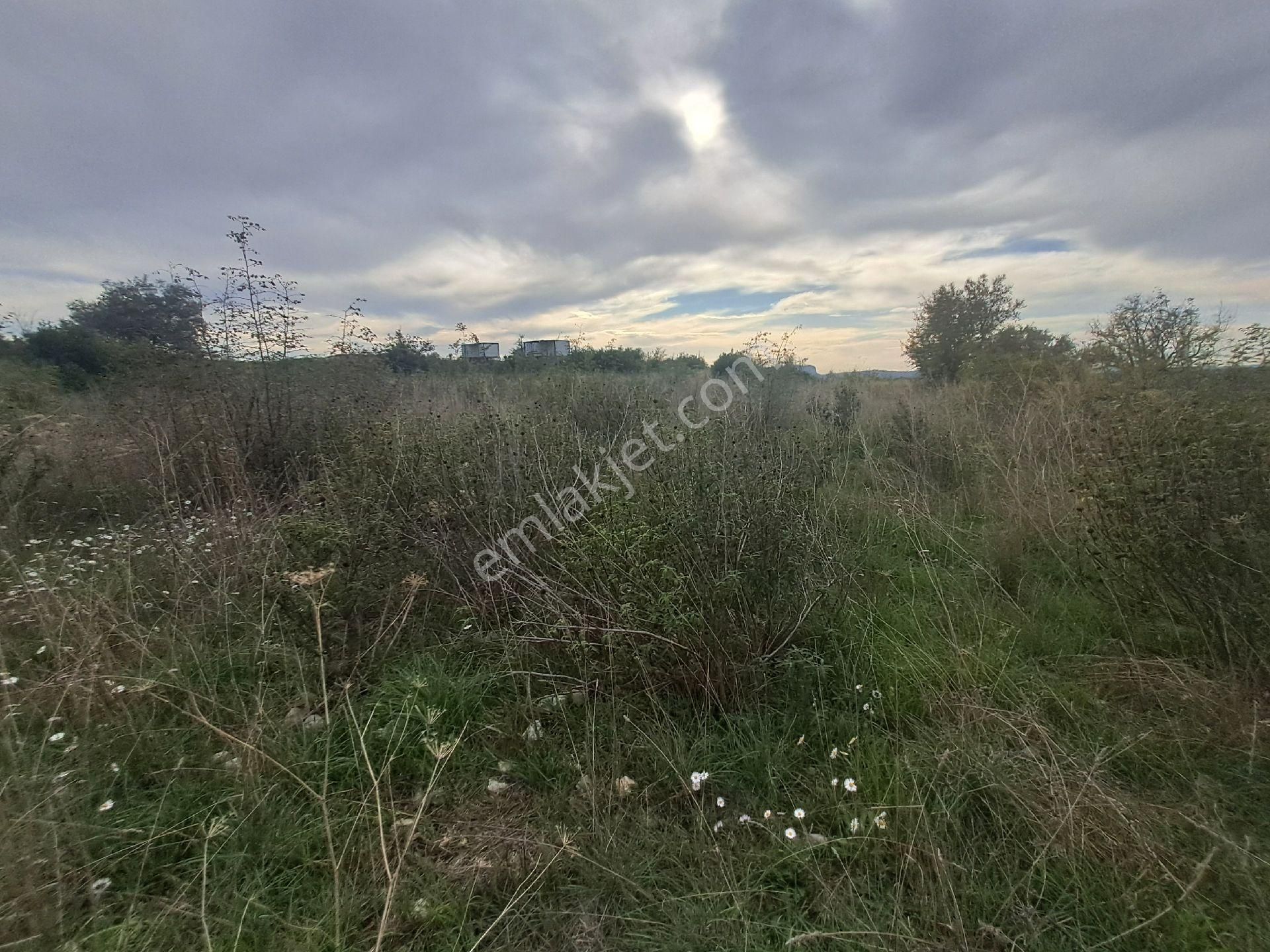 Mana Gat Sırköyü De Satılık Müstakil Tarla - Görsel 4
